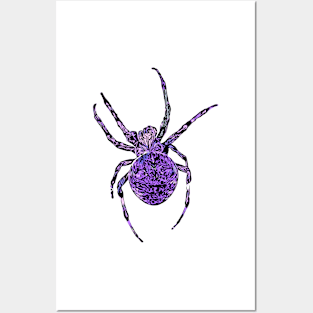 Purple Spider Fierce Orb-Weaver Posters and Art